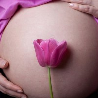 . Pregnancy photography