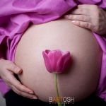 pregnancy and flower tulip