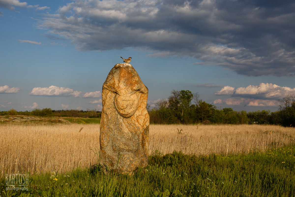 Каменные могилы, Мелитопольский район