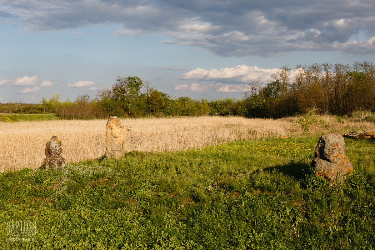 Каменные могилы, Мелитопольский район