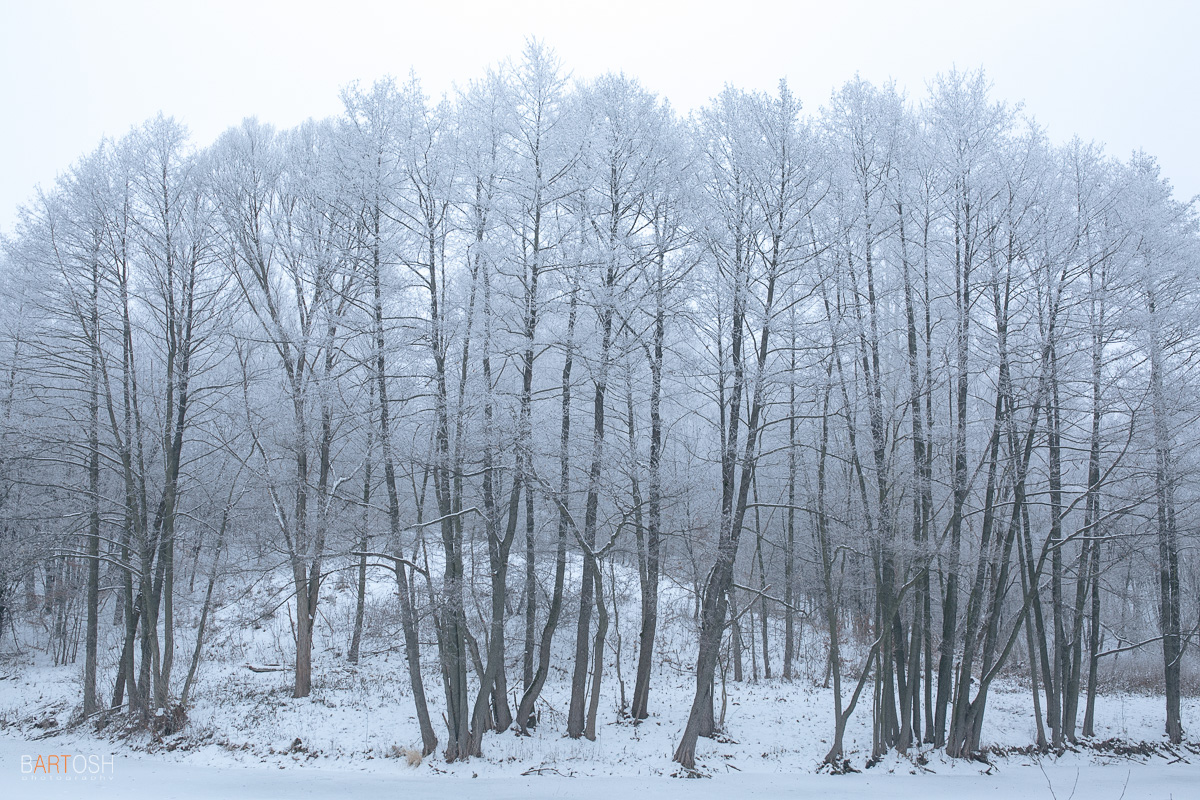 Зима в Пирогово