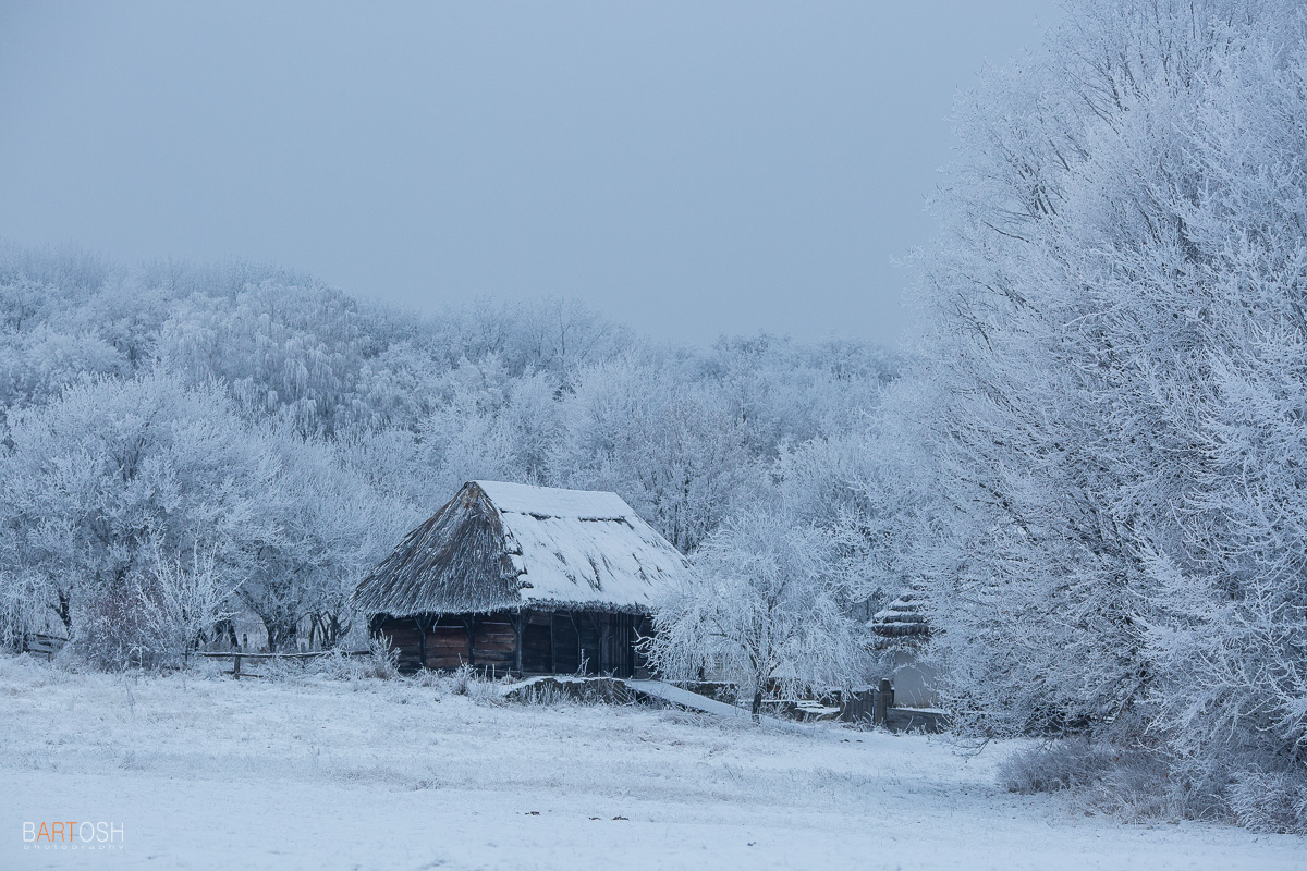 Зима в Пирогово