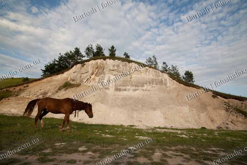 Ukraine, Украина. Сураж.  Лошадь пасется на фоне горы